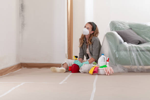 Reliable Mold Remediation contractor in Lake Worth, FL by WQB Mold Removal